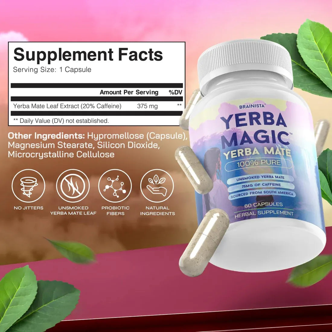 Yerba Mate Capsule